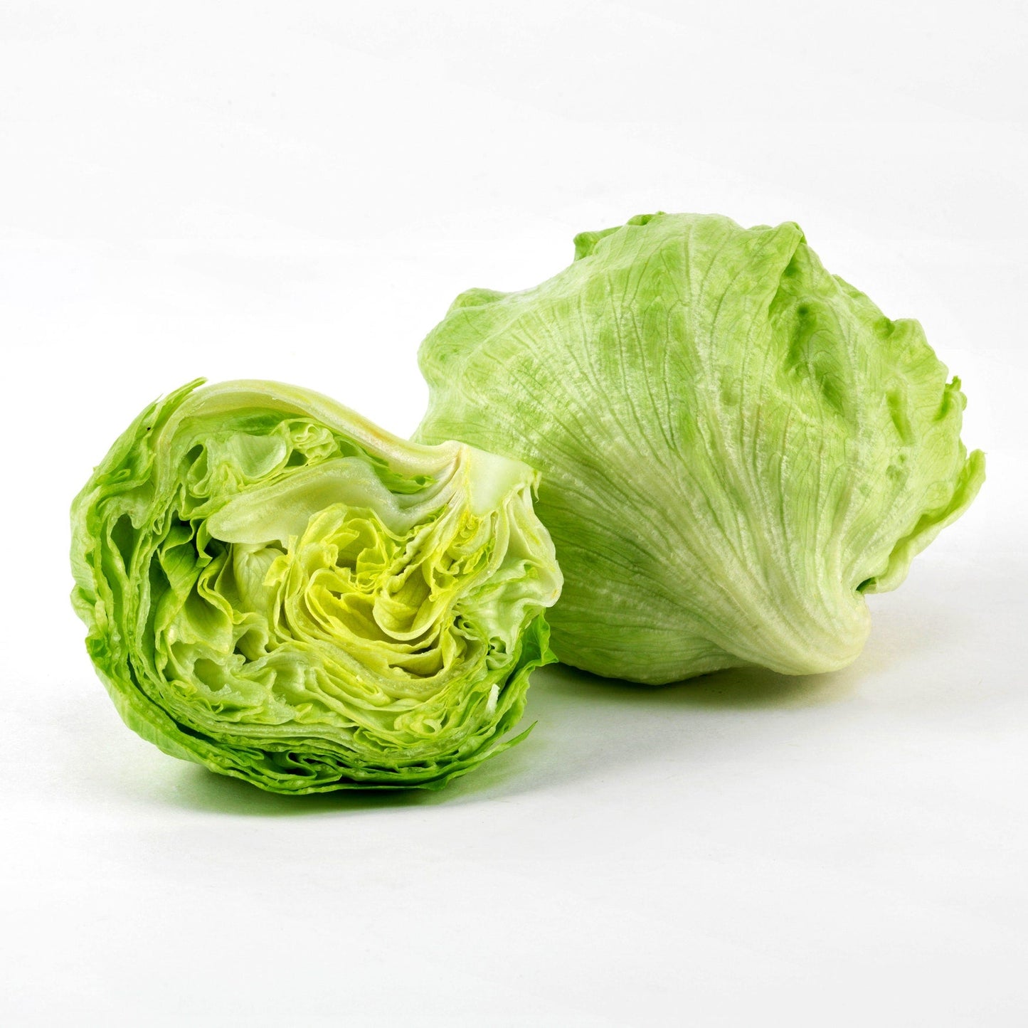 Iceberg Lettuce - Bulk