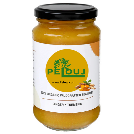 Ginger Turmeric Seamoss Gel - 16oz