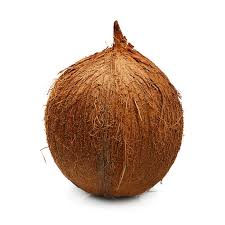 Dry Coconut
